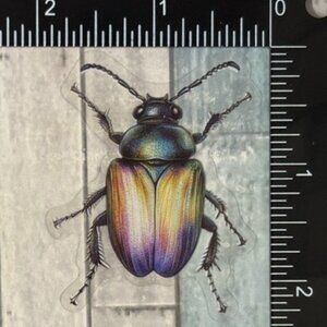 🌀10/$10🌀 Translucent Moth Dragonfly Beetle Reusable Waterproof Sticker Decal